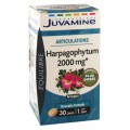 Жувамин Harpagophytum фито 2000 мг (Juvamine, Health Promises) 30 таблеток