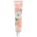 Роже и Галле крем для рук и ногтей Fleur de Figuier (Roger&Gallet, Fleur de Figuier) 30 ml